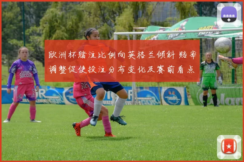 欧洲杯赌注比例向英格兰倾斜 赔率调整促使投注分布变化及赛前看点