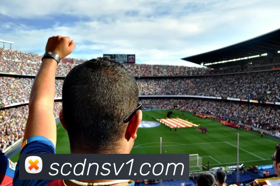 辅助工具 辅助工具